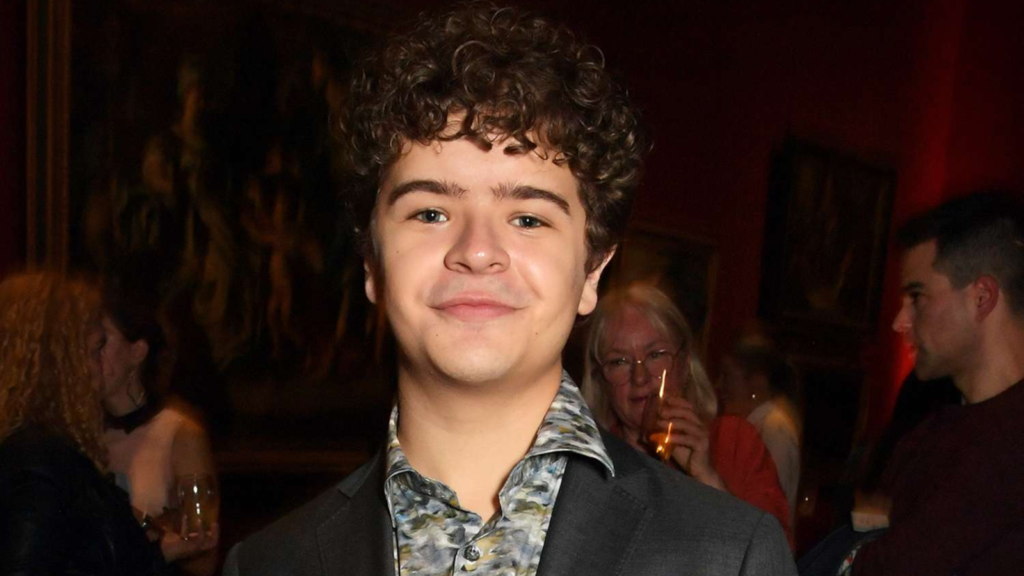 Gaten Matarazzo Gay